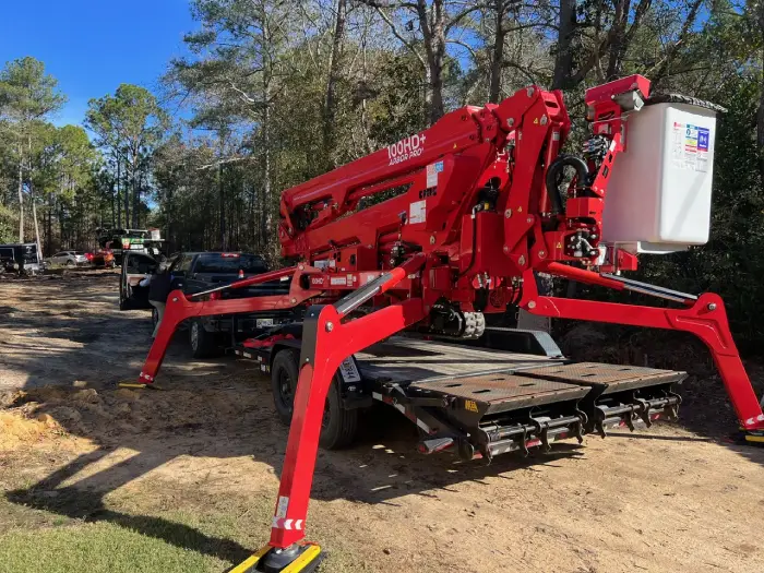 Professional Tree Removal