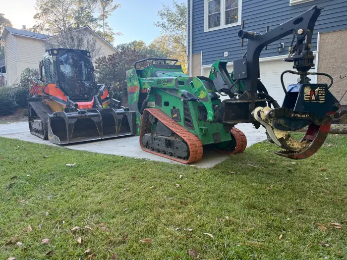 Professional Tree Removal
